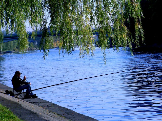  Samotny połów nad rzeką Elbląg
