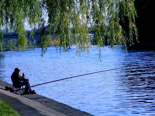 Samotny połów nad rzeką Elbląg