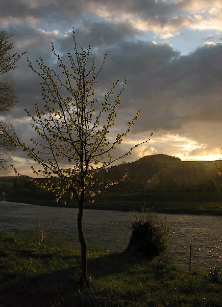 Pieniny (W zasadzie bez obróbki :-) ...wiem, że oglądane w jasnym letnim śwetle zdjęcie jest zbyt ciemne, ale za to wieczorem wydobywają się szczegóły ;-)))