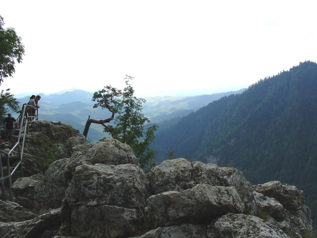 Pieniny - widok z Sokolicy