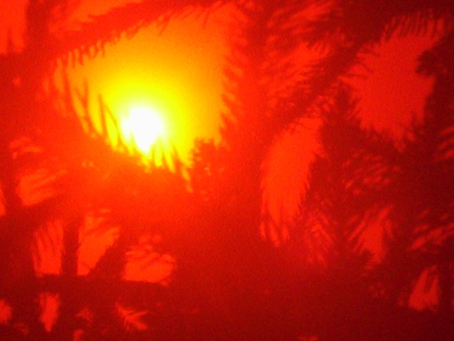 Gorące słońce (Sierpień 2007)