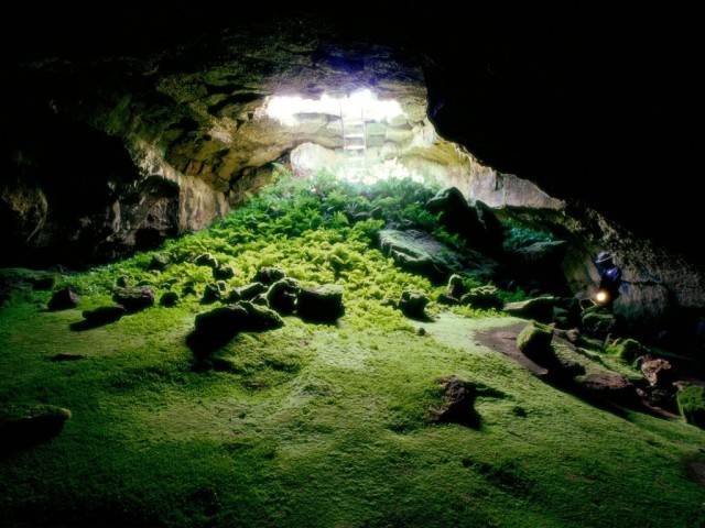 jaskinia (Wrzesień 2007)