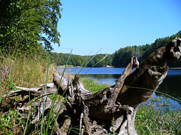  
Jelenia Dolina od drugiej strony.