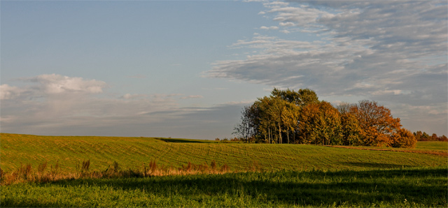 *** (Październik 2007)