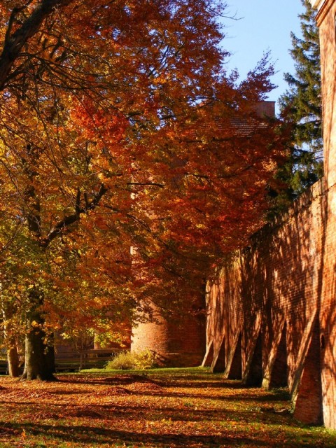 Frombork-wzgórze katedralne. (Listopad 2007)