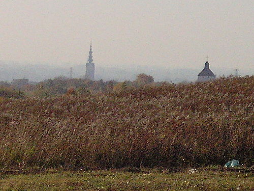 widok na katedre ze wschodu (Listopad 2007)