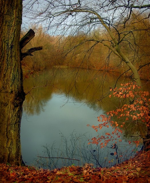 Zapomniane miejsce... (Grudzień 2007)