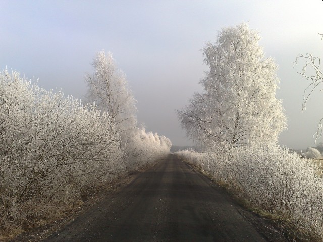 ... (Styczeń 2008)