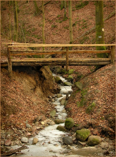 Przy Mostku Elewów. (Styczeń 2008)