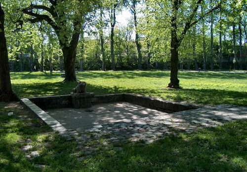 Żabka Park trałguta