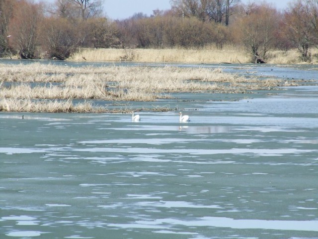 Żuławskie klimaty