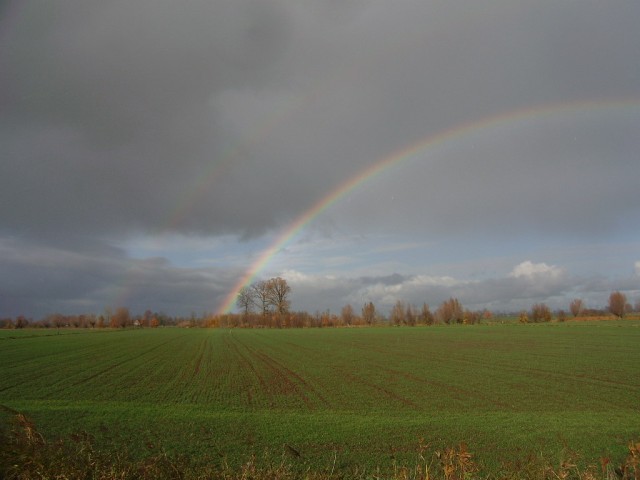 Tęcza (Marzec 2008)