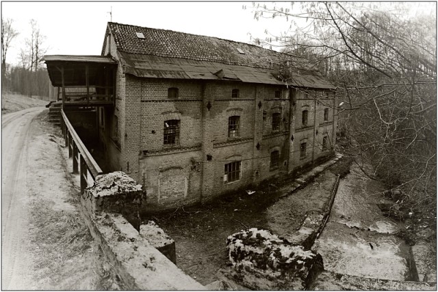 Młyn Leśne oko - odsłona druga i ostatnia (w tym miesiącu przynajmniej) (Marzec 2008)