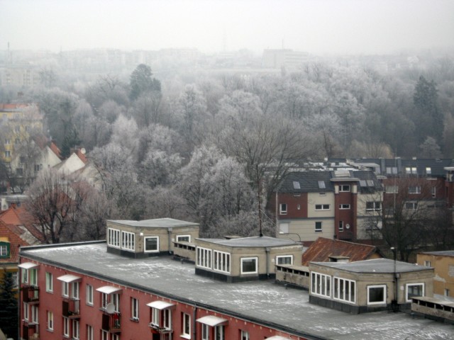 Widok z okna na północną część Elbląga.