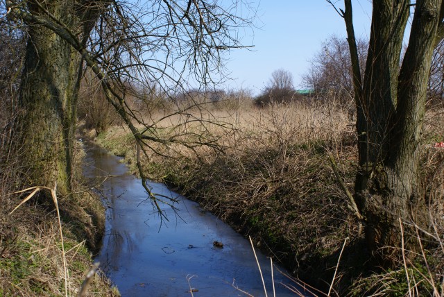 zatorze a przedkanale