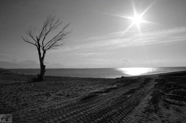 droga do nikąd... (Marzec 2008)