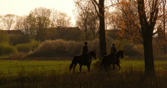 Galop w stronę Słońca