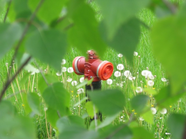 hydrant