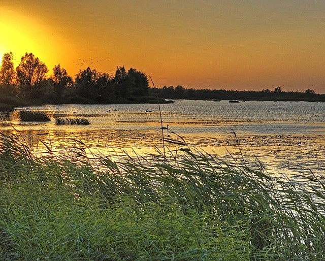 Powiało nad Drużnem (Czerwiec 2008)