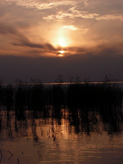 Zalew Wiślany. Widok z Fromborka. (Czerwiec 2008)