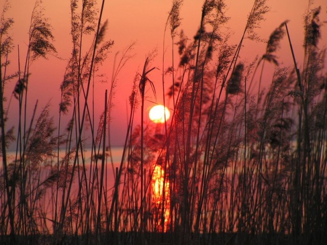 Fromborskie zachody (Czerwiec 2008)