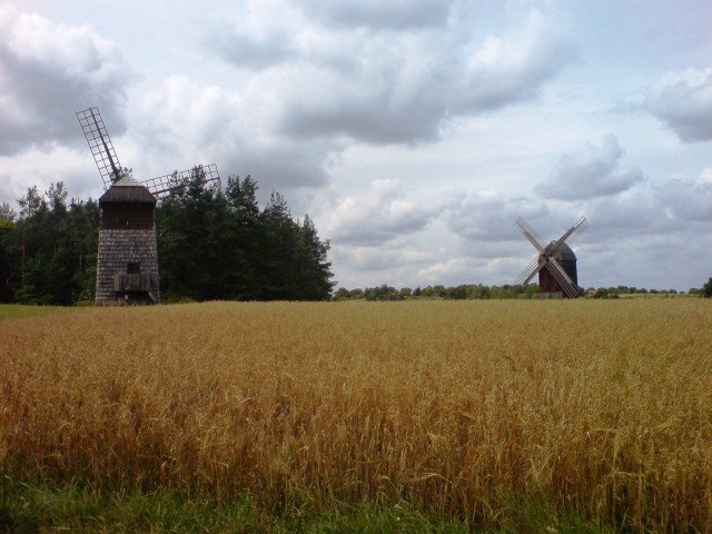 Bezwietrzny Dzień