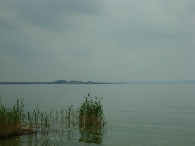 Zalew Wiślany na wysokości Nowej Pasłęki. (Sierpień 2008)