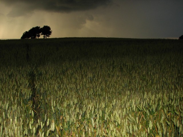 Niestety nie zdążyłem uciec przed tą burzą, ale chyba warto było zmoknąć. (Wrzesień 2008)