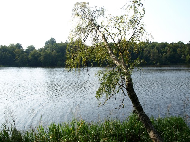 Chruściel - jezioro Pierzchalskie