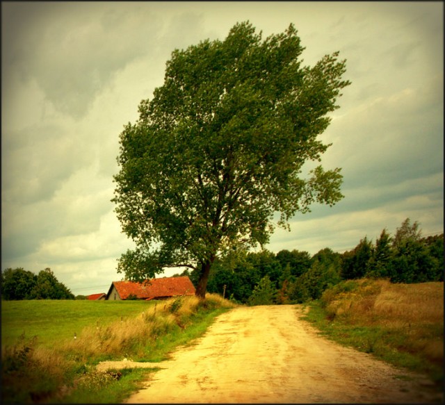 lato dogasło (Wrzesień 2008)