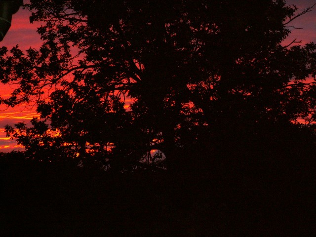 trafiony zachód słońca -moje okno