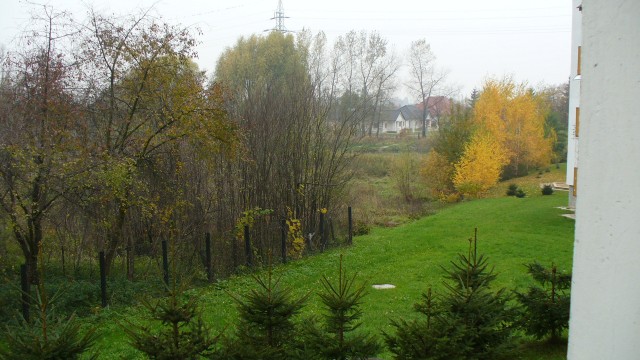 widok na jesień