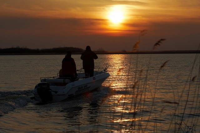 W stronę słońca. (Październik 2008)