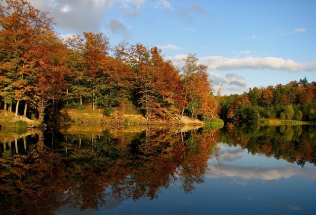 Jesienno na Jeleniej (Październik 2008)