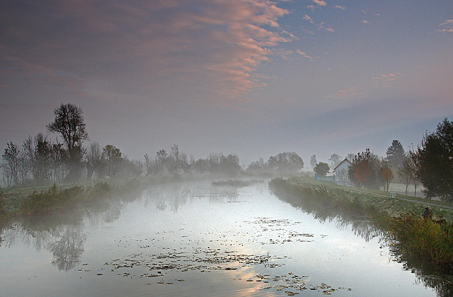 Żuławski poranek (Październik 2008)