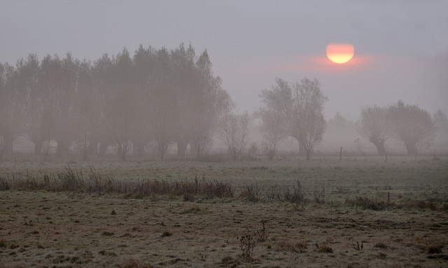 Żuławy o świcie (Październik 2008)