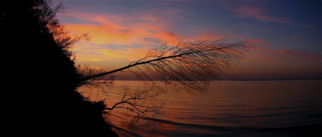 Na dzikiej plaży