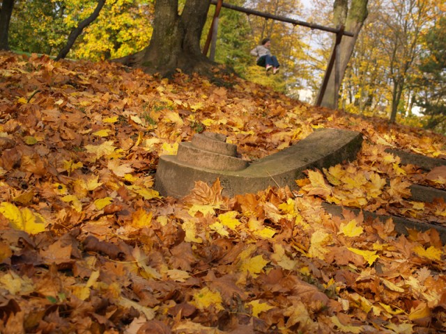 Polska Złota Jesień - Park Modrzewie (Listopad 2008)