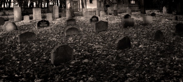 cmentarz przy sadowej...lubiany mój (Listopad 2008)