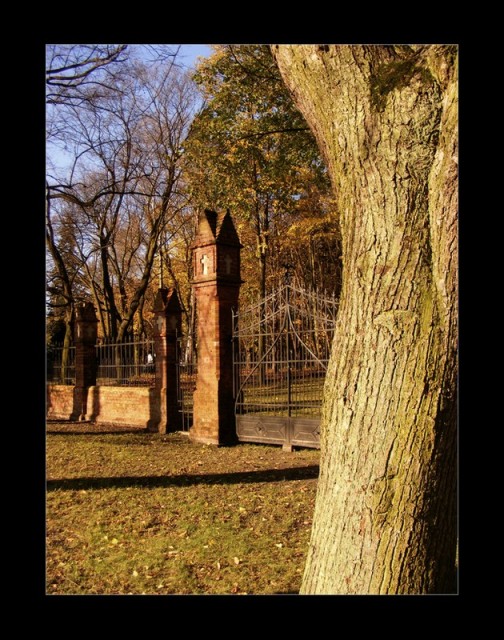 Frombork. Okolice starego cmentarza. (Listopad 2008)