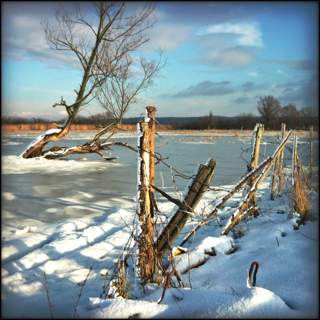 REZERWAT (Grudzień 2008)