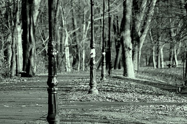 Park Dolinka (Grudzień 2008)