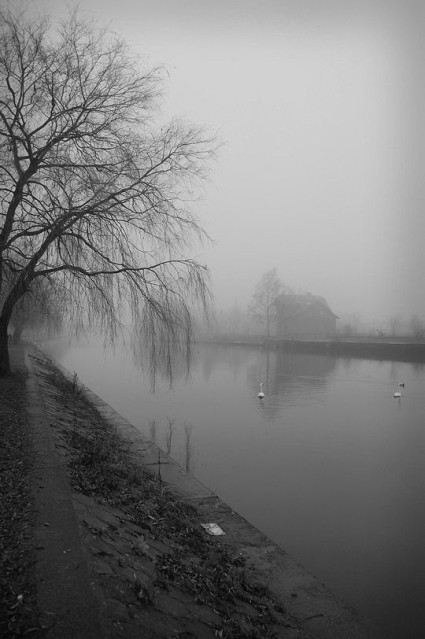 Kanał Elbląski we mgle (Grudzień 2008)