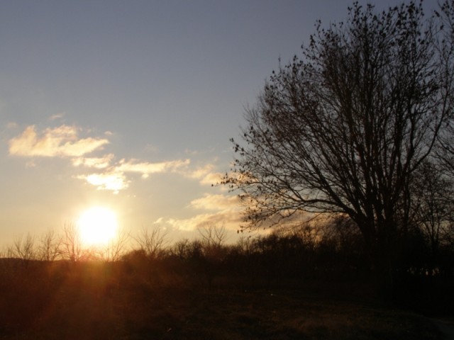 piękna jesień tej zimy ;) (Grudzień 2008)