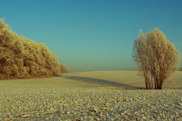 Silent (Grudzień 2008)