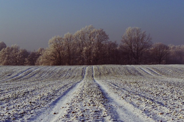 Zimowe (Grudzień 2008)