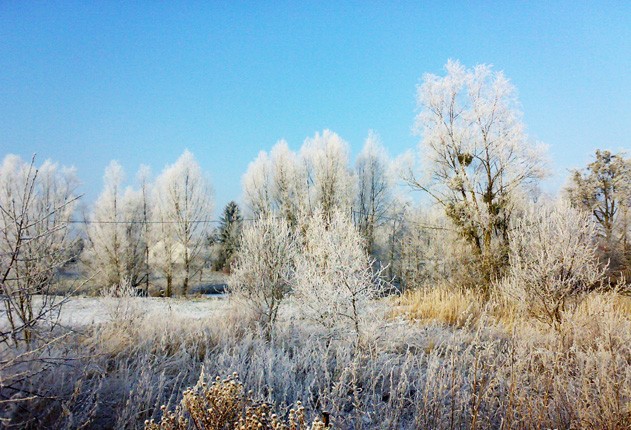 (Grudzień 2008)