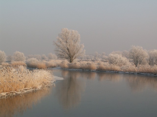 ...zimowa Balewka... (Styczeń 2009)