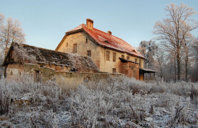 Modrzewina, Elblag