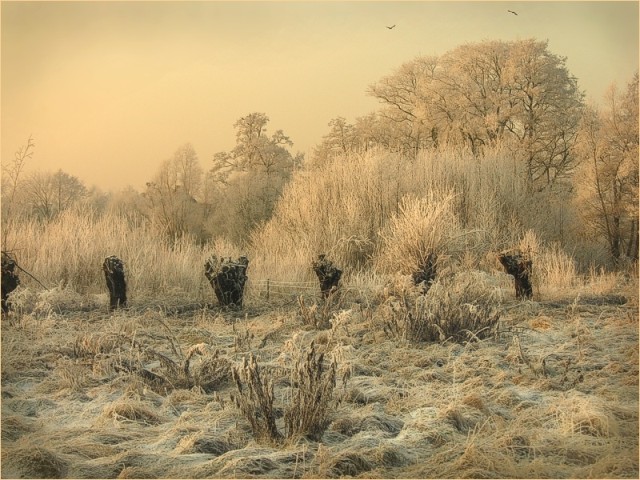 100 m od pętli "dwójki"... (Styczeń 2009)